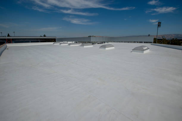 Best Cold Roofs  in Tipton, IN